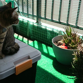 クレアちゃんスタンバイOK♪の画像