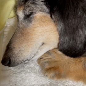 寒がりになるものですか？の画像