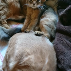 よく晴れた(*^^*)の画像