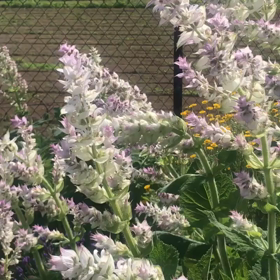 終わりなき学びの楽しさを知るの画像