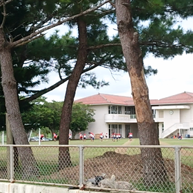 太鼓の音の画像