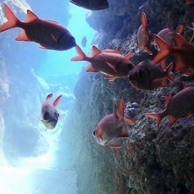 久し振りの再会ー♪♬の画像