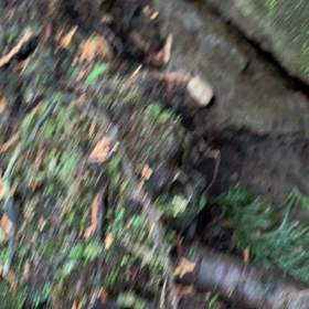 啓蟄過ぎて!!の画像