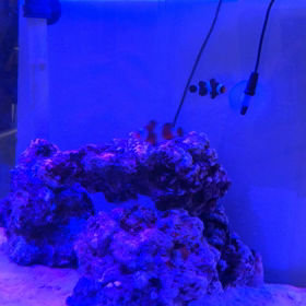 餌あげーの画像