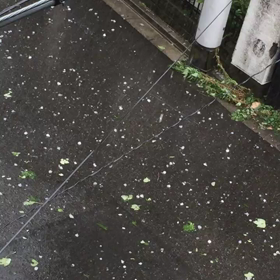 大変なお天気でしたの画像