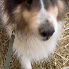 不満なのか？の画像