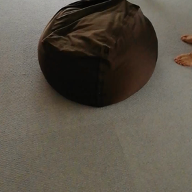 パパVSネギの画像