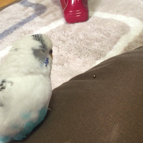 会話成立❗️美味ちく食べたか編の画像