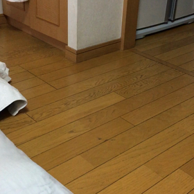 チップの頭突き。娘。チップとデール字幕付き動画の画像