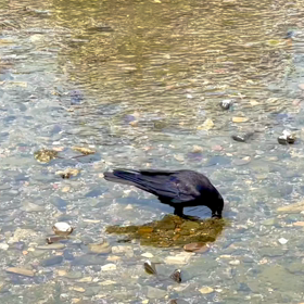 助けて‼︎休んでも、休んでも……疲れが取れない(/ _ ; )の画像