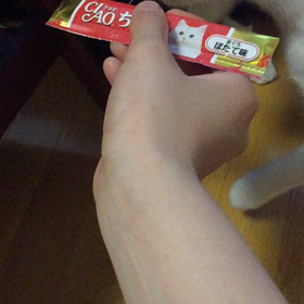 ちゅーるの両端を切ってみたの画像