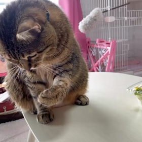 中毒性のあるの画像