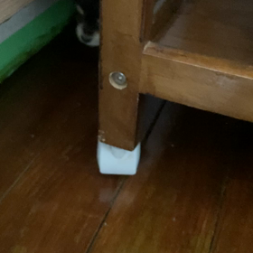 癲癇チワワくんの画像