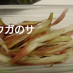 ミョウガのサラダの画像