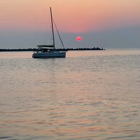 ★癒し、癒され。24時間保育。の画像