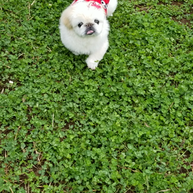 え!?全力疾走ですけど(ﾟ∀ﾟ*)!?の画像