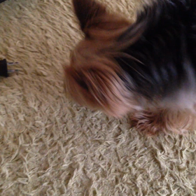 闘いを挑むの画像