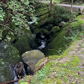 変わるの？…始めるの？…どうしようかの画像