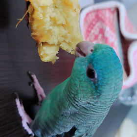 落ち込んだ息子の気持ちを前向きにさせる作戦・1の画像