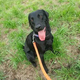 探せっ(^^)の画像