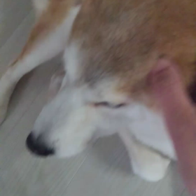 ちょこーっとだけの画像