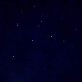 動画は、貼れます❗の画像