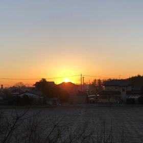 冬らしい朝の画像