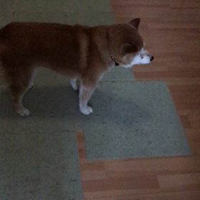 台風です。の画像