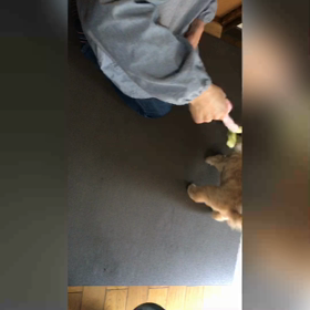 ハナコ釣りの画像