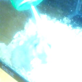 たまには、だらしな～くの画像