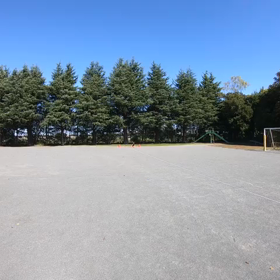 リレー特別練習(バトン渡し)①の画像