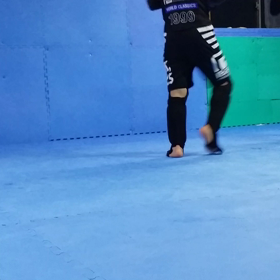 寝技と総合格闘技の画像