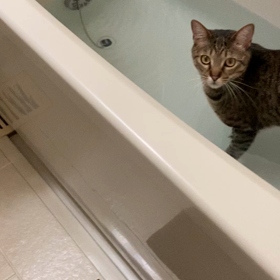 まる　　いいゆだなぁ〜はははぁん♨️の画像