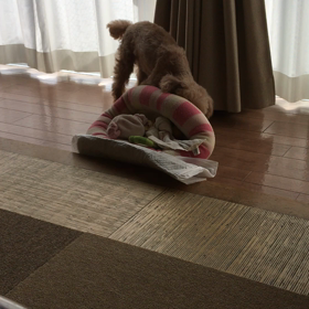 元気ハツラツの画像