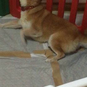 寝たいけどの画像