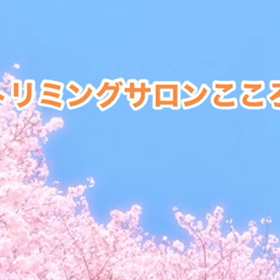3月　〜スライドショー〜の画像