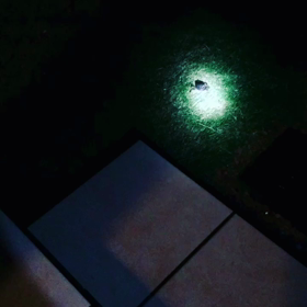 昨日の疲れが〜ぁの画像