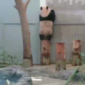 会いたいなぁ～♪の画像