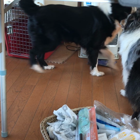 仲がいいのか？の画像