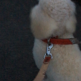 右見て〜左見て〜の画像