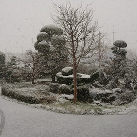 雪降ったw(゜o゜)wの画像