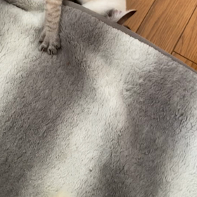 今朝のひとコマの画像