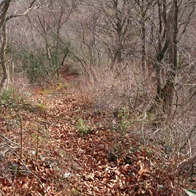 63歳効き目の判らない熊さん避け鈴の画像