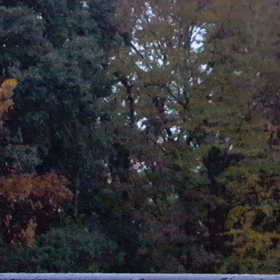 また！　と　54年ぶり！の画像