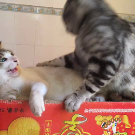 ╮(￣▽￣"")╭の画像