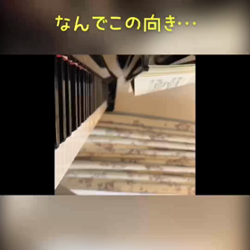 5/25の画像