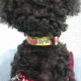 昨日の待合室にての画像