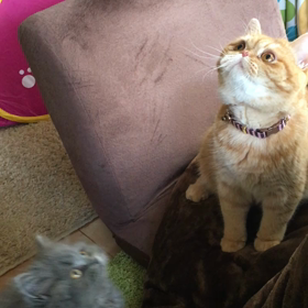 ２人はまだまだ…の画像