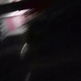 うちの子とコオロギ　夜のベランダと朝のベランダの画像