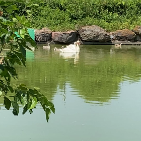 動物園満喫の画像